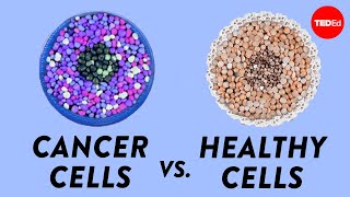 How do cancer cells behave differently from healthy ones  George Zaidan [upl. by Kloman]