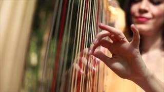 Bosque solitário Bois Solitaire  Harp trio Amadeus [upl. by Haorbed690]