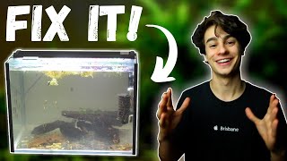 How to Fix Cloudy Water in an Aquarium Easiest Method [upl. by Eniaj]