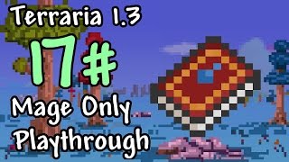 Expert Mode Terraria  Mage Only Water Bolt  Episode 17 [upl. by Eiluj]