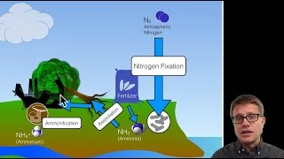 Biogeochemical Cycles [upl. by Asum]