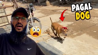 Gali ma pagal dog agaya 😳 subke ghr ma ghuss rha hai 🐕 Fahad Bhai Official [upl. by Bela]