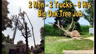 Huge Oak Tree Removal Next To House With Small Crane [upl. by Wenda954]