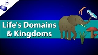 Domains and Kingdoms of life [upl. by Azeria]