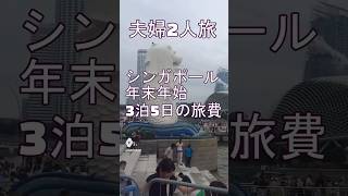 シンガポール旅行リアルにかかったお金！みんないくら使った？コメント欄で教えてください＃シンガポール＃海外旅行＃年末年始 [upl. by Cram]