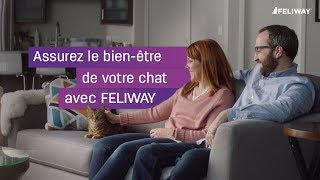 Assurez le bienêtre de votre chat avec FELIWAY [upl. by Murdoch]