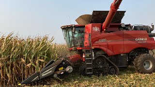 A Farmer Harvesting 300 Bushel Corn With a Case IH 9250 and a Grain Handling System Tour S2 E24 [upl. by Raney]