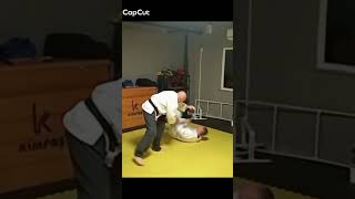 İriminage silifke martialarts aikido [upl. by Napas605]