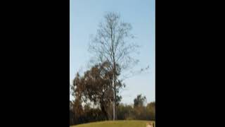 Water powered Rocket Launch Test Flight [upl. by Rosalynd]