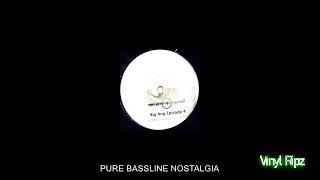 BIG ANG  THIS IS THE RMX  NICHE  BASSLINE HOUSE  SPEED GARAGE  VINYL RIP [upl. by Zacks]