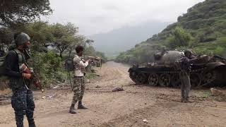 Tigray Defense Forces TDF  ናይ ትግራይ ፍሉይ ሃይሊ ታንኪ ክማርኩ ከለዉ [upl. by Ettenoitna]