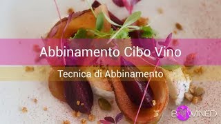 tecnica di abbinamento cibo vino metodo ais [upl. by Anahsal1]