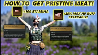 Once Human How To Get Pristine Meat Crazy FoodBuff Must Have Buff For PVEPVP [upl. by Alarice101]