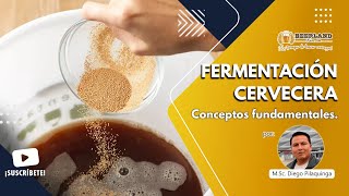 Fermentación Cervecera [upl. by Ahsinrac127]