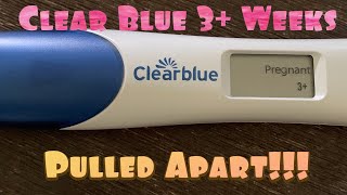 Live 3 Weeks clear blue digital Pregnancy test pulled apart  26DPO [upl. by Zoe]