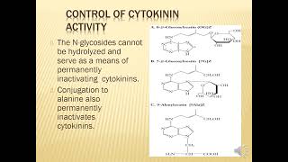 CHAPTER 9 Plant Hormones cytokinin [upl. by Germaun6]