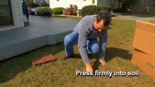 Planting Amazoy Zoysia Grass Plugs 2017 No Scoring [upl. by Aitnic284]