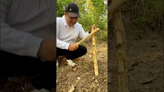 Worm Charming worms fyp diy lifehacks experiment [upl. by Kired]