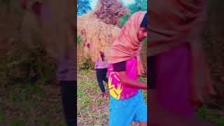 Kheti ka kam chalu hai ba ba bhanje thak gaye 😅 🌾villagefarmingvlogs [upl. by Hough]