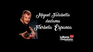 UFRGS  5 poemas de Florbela Espanca declamados por Miguel Falabela [upl. by Mildrid692]