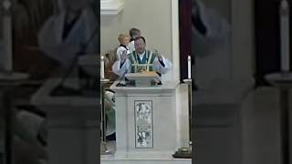 Just One More Video catholicmass catholichomily [upl. by Midas]