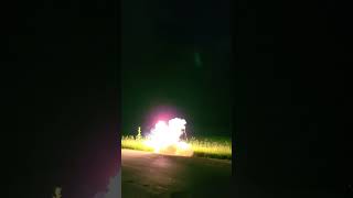 Girandola spinning firework shorts pyro fireworks [upl. by Ambrosius]