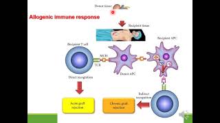 Immunosuppressive drugs [upl. by Kcered242]