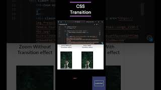 CSS transition property coding webdesign webdevelopment programming transition video coder [upl. by Kreitman]