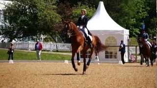 Pferd International 2012 dressage warming up area [upl. by Lewej]