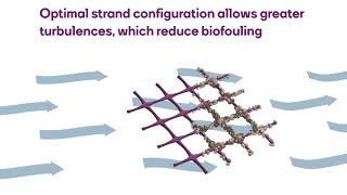 REVERSE OSMOSIS NETS [upl. by Yarised]