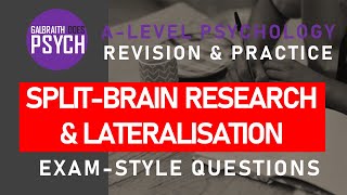 SplitBrain Research amp Lateralisation  Exam Questions amp Revision  ALevel  AQA Psychology [upl. by Assenad]