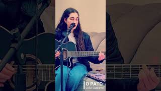 O PATO JOAO GILBERTO cover [upl. by Knorring]