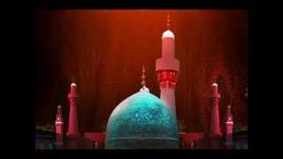 Nohay 2018  Habib ع Aa Jao  Mir Hasan Mir New Noha 201819  Muharram 1440H Nohay  Nohay 2019 [upl. by Zoara]