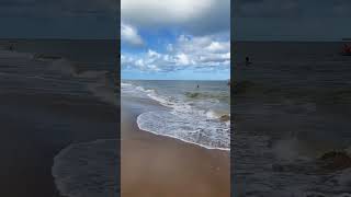 Praia do Marceneiro Alagoas nature beach travel alagoas [upl. by Whorton661]