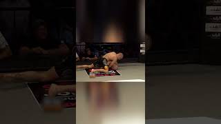 Top Finishes Conor McGregor Part2 usa MMA UFC McGregor LA NY america [upl. by Irb]