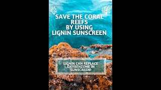 Lignin extraction from sugarcane bagasse for natural sunscreen appplication [upl. by Byers]