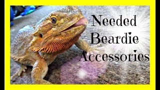 Needed Bearded Dragon Accessories [upl. by Shulock]