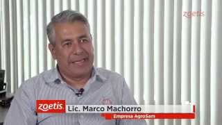 Beneficios de la inmunocastración en porcinos con Improvac® [upl. by Criswell]