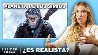 Primatóloga Puntúa 10 Ataques de Primates en Escenas de Películas y TV  ¿Es Realista [upl. by Aimat]