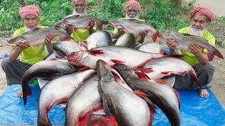 30 KG Big Pangas Fish Cutting amp Cooking by Grandpa  Panagasius Catfish Curry for Special People [upl. by Adivad315]