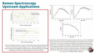 Strong Raman Spectroscopy Use Cases [upl. by Noisla]