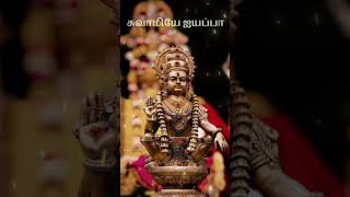 SARANAM AYYAPPAAyyappan whatsApp statuskarthigai matham malai anindhu songshortsvideoayyappa [upl. by Aerb]