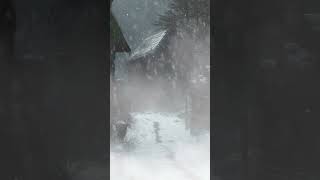 Blizzard Sounds for DEEP Sleep  Winter Storm blizzardsounds snow wintersounds deepsleep storm [upl. by Tenay]