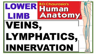 Chp11 BDC Vol2  Lower Limb  Venous amp Lymphatic Drainage and Cutaneous Innervation [upl. by Betteanne]