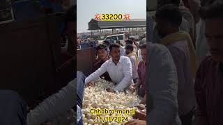 CHHABRA MANDI chhabra kota rajsthan streetfood farming farmer youtube [upl. by Ecarret]