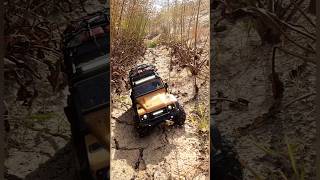 Crawler Defender D110 dans le lit dune rivière asséchée TRX4M 118 [upl. by Onaivlis]