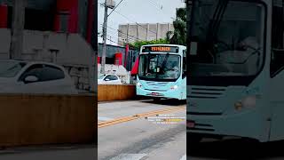 Empresa de transporte coletivos Viamão Ltda 📸VIAMÃO ESTALAGEM STA ISABEL NA VIAMÃO N°8170 NO VÍDEO🫶 [upl. by Aleka883]