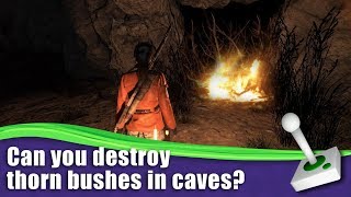 How to destroy thorn bushes in caves  Rise of the Tomb Raider [upl. by Ylluz]