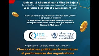 Chocs externes politiques économiques et performances des organisations [upl. by Nimar737]