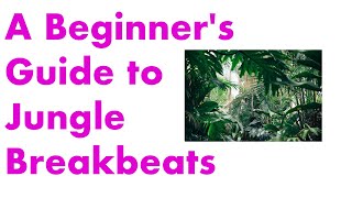 A Beginners Guide to Jungle Breakbeats [upl. by Ledua26]